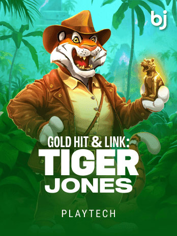 Gold Hit & Link: Tiger Jones screenshot